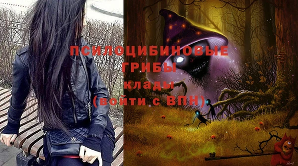 дмт Горнозаводск
