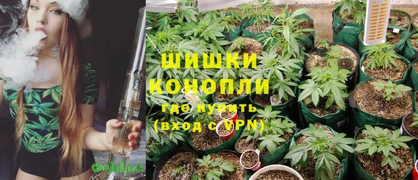 дмт Горнозаводск